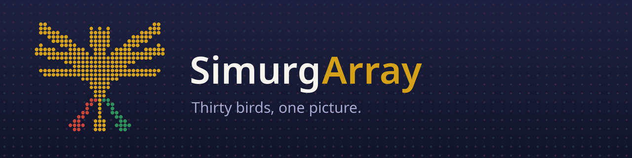 SimurgArray: Thirty birds, one picture.